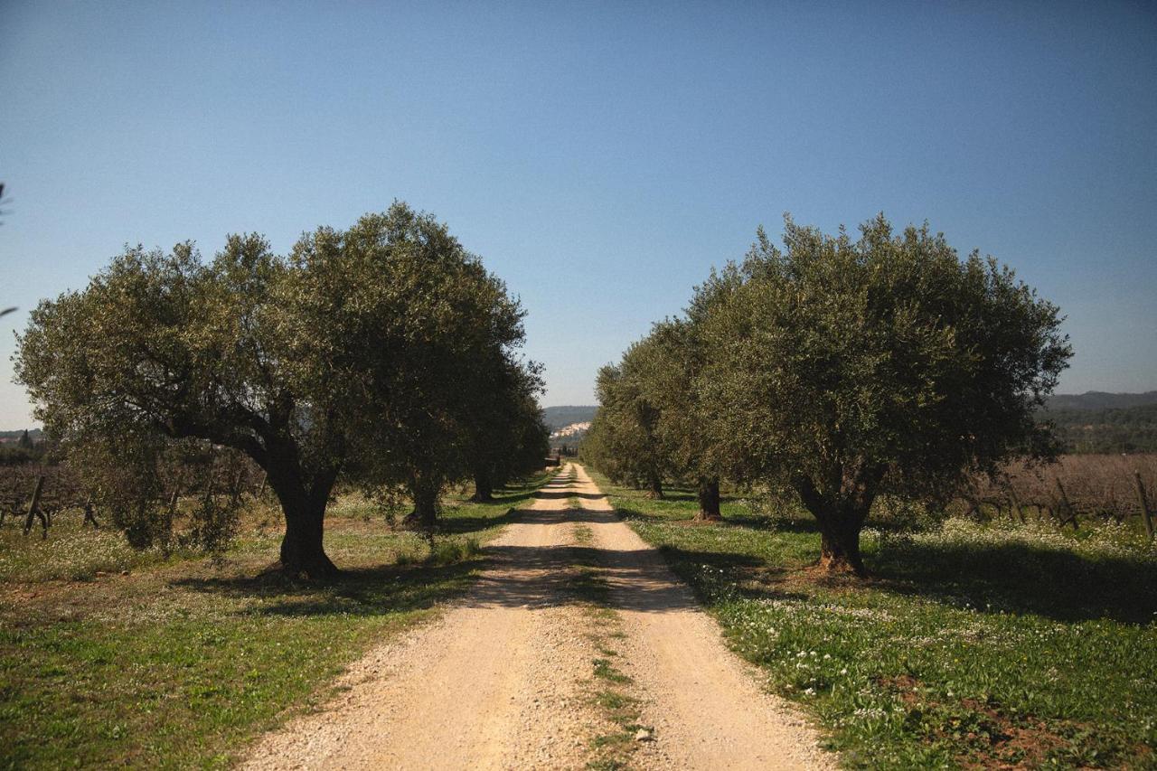 Masia Bartomeu Rural House Between Vineyards 2Km From The Beach 엘벤드렐 외부 사진
